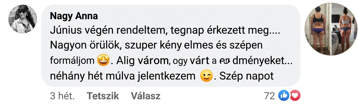 Nagy Anna értékelése