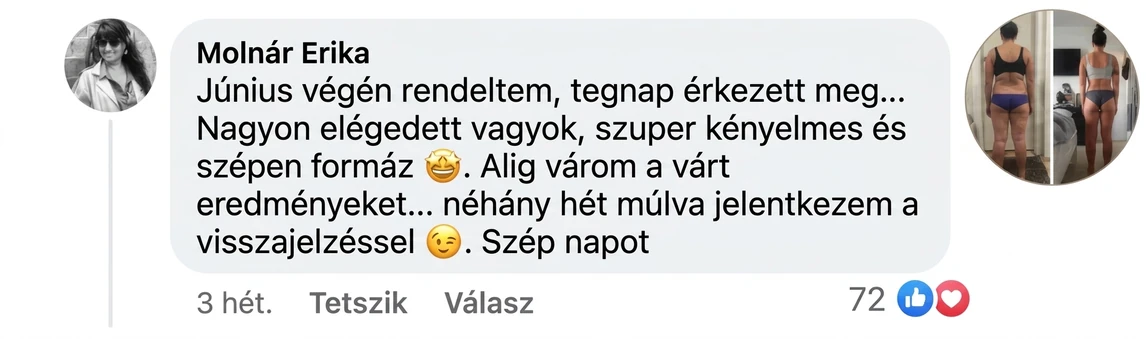 Molnár Erika értékelése